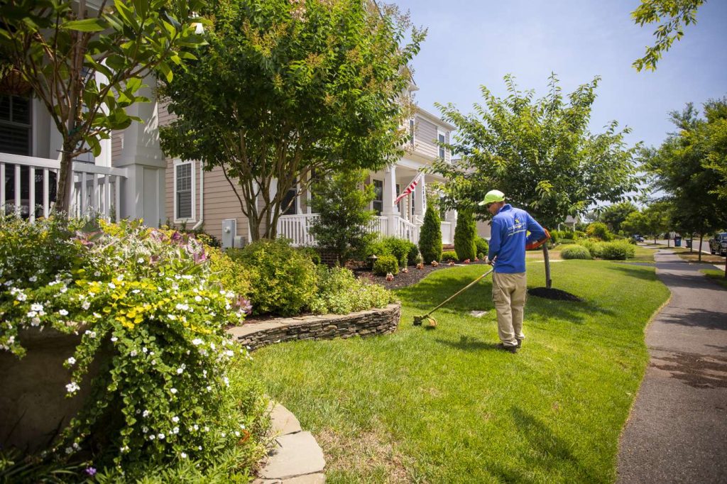 Types of Landscaping Services Offered Types of Landscaping Services Offered