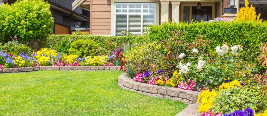 Why Choose Professional Landscapers